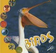 Tapa de Birds (What Is An Animal?)