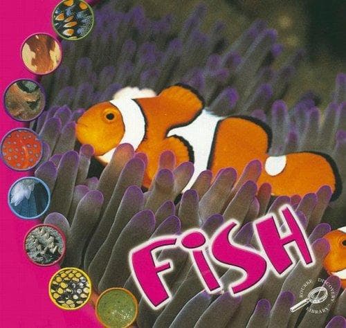 Tapa de Fish (What Is An Animal?)