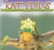 Tapa de Katydids (Insects)