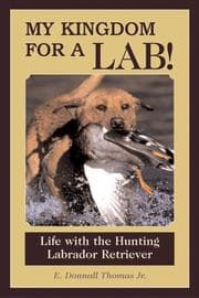Tapa de My Kingdom For A Lab