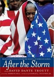 Tapa de After the Storm
