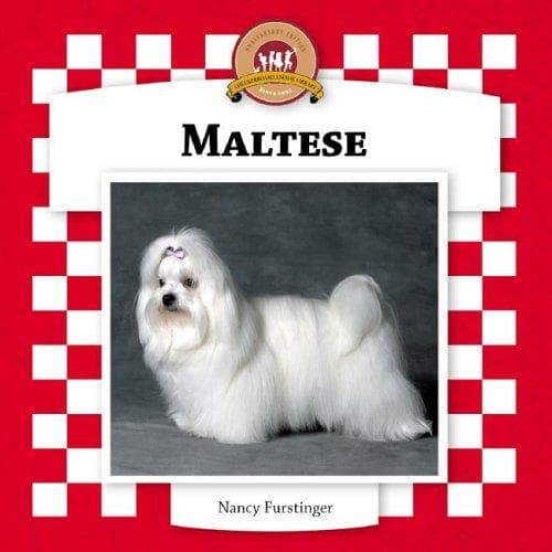 Tapa de Maltese