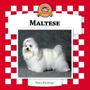 Tapa de Maltese
