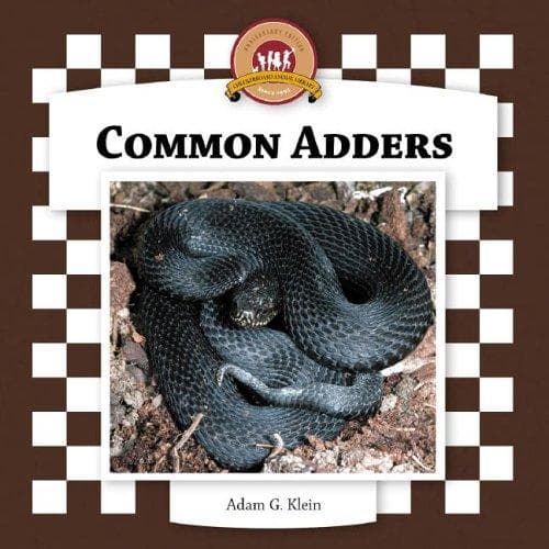 Tapa de Common Adders