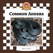 Tapa de Common Adders