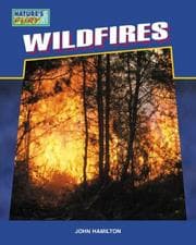 Tapa de Wildfires (Nature's Fury)