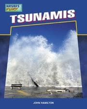 Tapa de Tsunamis (Nature's Fury)