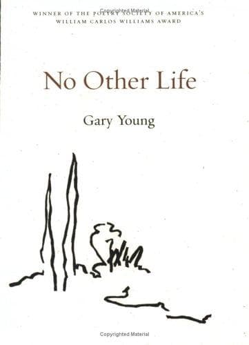 Tapa de No other life