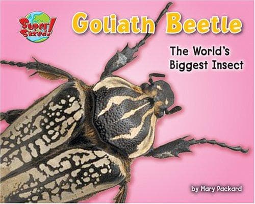 Tapa de Goliath Beetle