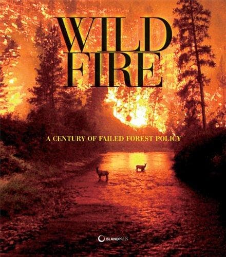 Tapa de Wildfire