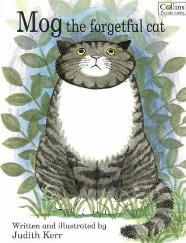 Tapa de Mog, the forgetful cat