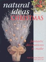 Tapa de Natural Ideas for Christmas