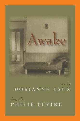 Tapa de Awake (Lynx House Book)