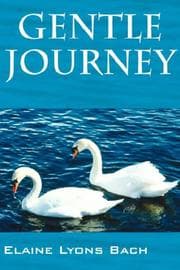 Tapa de Gentle Journey