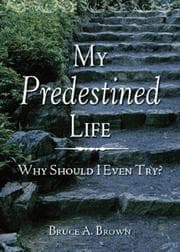 Tapa de My Predestined Life