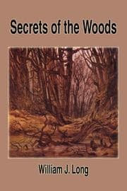 Tapa de Secrets of the Woods