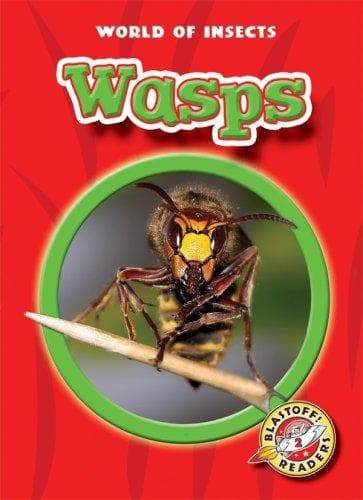 Tapa de Wasps