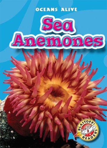 Tapa de Sea Anemones