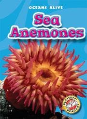 Tapa de Sea Anemones
