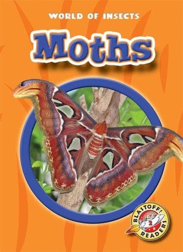 Tapa de Moths