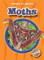 Tapa de Moths