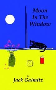 Tapa de Moon In The Window
