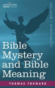 Tapa de Bible Mystery and Bible Meaning