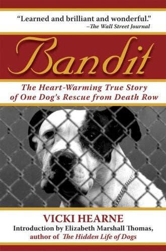 Tapa de Bandit