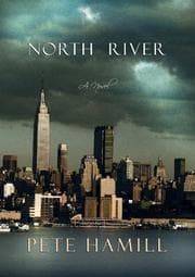 Tapa de North River