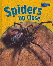 Tapa de Spiders Up Close (Perspectives)