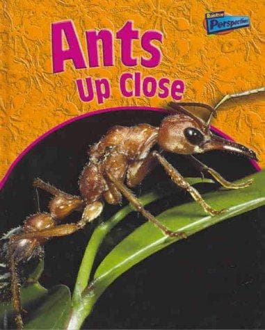 Tapa de Ants Up Close (Perspectives)