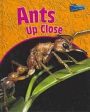 Tapa de Ants Up Close (Perspectives)