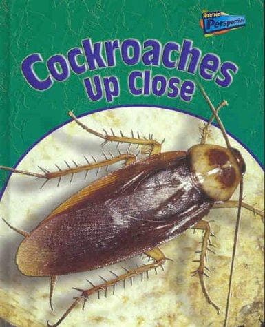 Tapa de Cockroaches Up Close (Perspectives)
