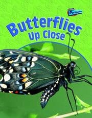 Tapa de Butterflies Up Close (Raintree Perspectives: Minibeasts Up Close)