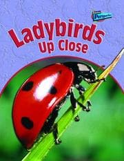 Tapa de Ladybirds Up Close (Raintree Perspectives: Minibeasts Up Close)