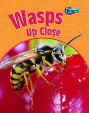 Tapa de Wasps Up Close (Raintree Perspectives: Minibeasts Up Close)