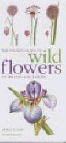 Tapa de Mitchell Beazley Pocket Guide to Wild Flowers
