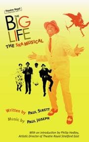 Tapa de The Big Life