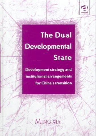 Tapa de The dual developmental state