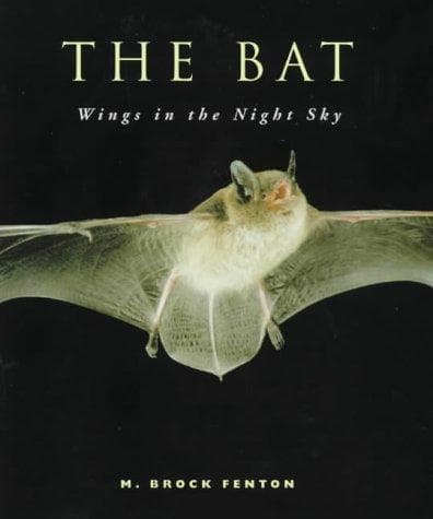 Tapa de Bat Wings In the Night Sky