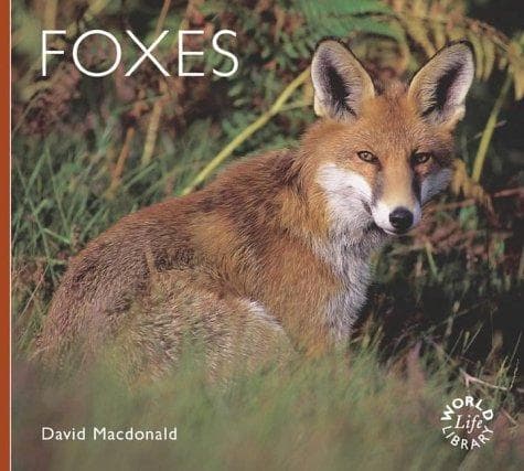 Tapa de Foxes (Worldlife Library)