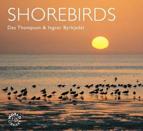 Tapa de Shorebirds