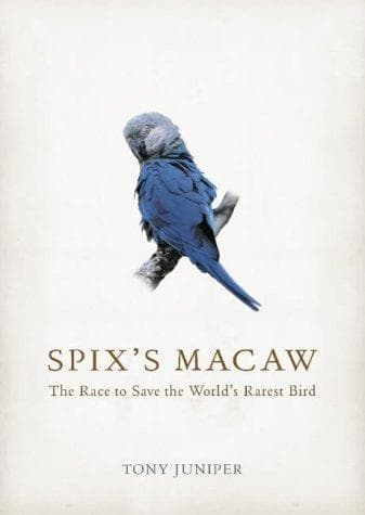 Tapa de Spix's Macaw