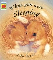 Tapa de While You Were Sleeping