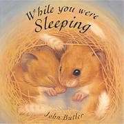 Tapa de While You Were Sleeping (Little Orchard Board Book)