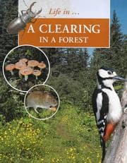 Tapa de Clearing in the Forest (Life In....)