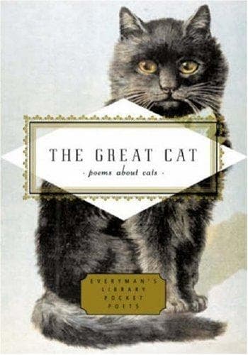Tapa de The Great Cat