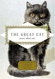 Tapa de The Great Cat