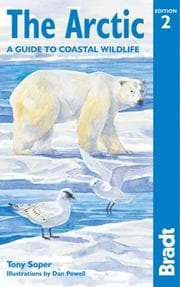 Tapa de The Arctic