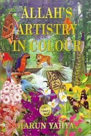Tapa de Allah's artistry in colour